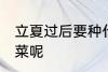 立夏过后要种什么菜 立夏过后种什么菜呢