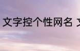 文字控个性网名 文字控个性网名介绍