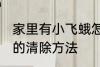 家里有小飞蛾怎么消灭 家里有小飞蛾的清除方法