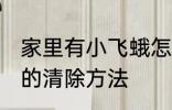 家里有小飞蛾怎么消灭 家里有小飞蛾的清除方法