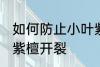 如何防止小叶紫檀开裂 怎样防止小叶紫檀开裂