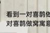 看到一对喜鹊做窝有什么兆头 看到一对喜鹊做窝寓意