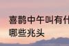 喜鹊中午叫有什么兆头 喜鹊中午叫有哪些兆头
