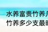 水养富贵竹养几支最旺运财 水养富贵竹养多少支最旺运财