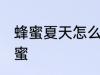 蜂蜜夏天怎么保存 如何在夏天保存蜂蜜