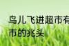 鸟儿飞进超市有什么兆头 鸟儿飞进超市的兆头