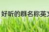 好听的群名称英文 好听的群名称精选