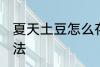 夏天土豆怎么存放 夏天土豆存放的方法