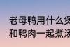 老母鸭用什么煲汤最好 哪些食物可以和鸭肉一起煮汤