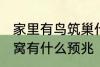 家里有鸟筑巢什么征兆 小鸟来家里做窝有什么预兆