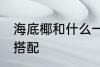 海底椰和什么一起煲汤好 海底椰煲汤搭配