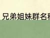 兄弟姐妹群名称 兄弟姐妹群名称推荐
