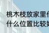 桃木枝放家里什么位置 桃木枝放家里什么位置比较好
