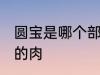 圆宝是哪个部位的肉 圆宝是什么部位的肉