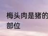 梅头肉是猪的哪个部位 梅头肉是哪个部位
