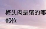梅头肉是猪的哪个部位 梅头肉是哪个部位