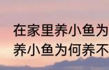 在家里养小鱼为什么养不活呢 在家里养小鱼为何养不活呢