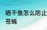 晒干鱼怎么防止苍蝇 晒干鱼如何防止苍蝇