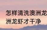 怎样清洗澳洲龙虾才干净 如何清洗澳洲龙虾才干净