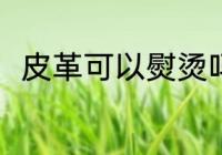 皮革可以熨烫吗 皮革是否可以熨烫