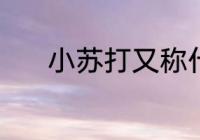 小苏打又称什么 小苏打的别称