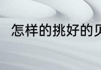 怎样的挑好的贝壳 如何挑好的贝壳