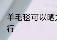 羊毛毯可以晒太阳吗 羊毛毯晾晒行不行