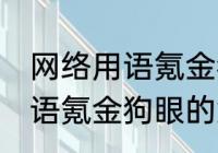 网络用语氪金狗眼是什么意思 网络用语氪金狗眼的意思