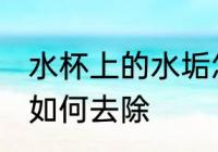 水杯上的水垢怎么去除 水杯上的水垢如何去除