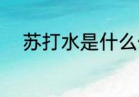 苏打水是什么做的 苏打水的制作