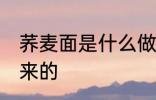 荞麦面是什么做的 荞麦面是什么做出来的