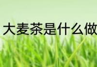 大麦茶是什么做的 大麦茶的制作原料