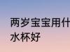 两岁宝宝用什么水杯好 两岁宝宝用啥水杯好