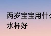 两岁宝宝用什么水杯好 两岁宝宝用啥水杯好