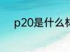 p20是什么材质 p20是哪种材质