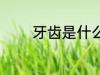 牙齿是什么材质 牙齿的材质