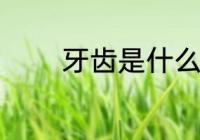 牙齿是什么材质 牙齿的材质