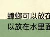 蟑螂可以放在水里面养吗 蟑螂是否可以放在水里面养