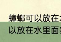 蟑螂可以放在水里面养吗 蟑螂是否可以放在水里面养