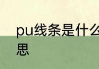 pu线条是什么材质 pu线条是什么意思