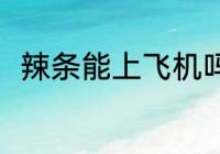 辣条能上飞机吗 辣条能不能上飞机