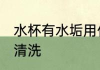 水杯有水垢用什么洗 水杯有水垢如何清洗