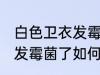 白色卫衣发霉菌了怎么洗掉 白色卫衣发霉菌了如何洗掉