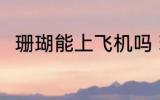 珊瑚能上飞机吗 珊瑚可以上飞机吗