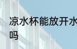 凉水杯能放开水吗 凉水杯可以放开水吗