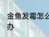 金鱼发霉怎么处理 金鱼身上长霉怎么办