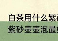 白茶用什么紫砂壶壶泡最好 白茶用啥紫砂壶壶泡最好