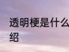 透明梗是什么材料做的 透明梗材料介绍