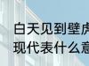 白天见到壁虎什么寓意 家里有壁虎出现代表什么意思