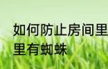 如何防止房间里有蜘蛛 怎么防止房间里有蜘蛛